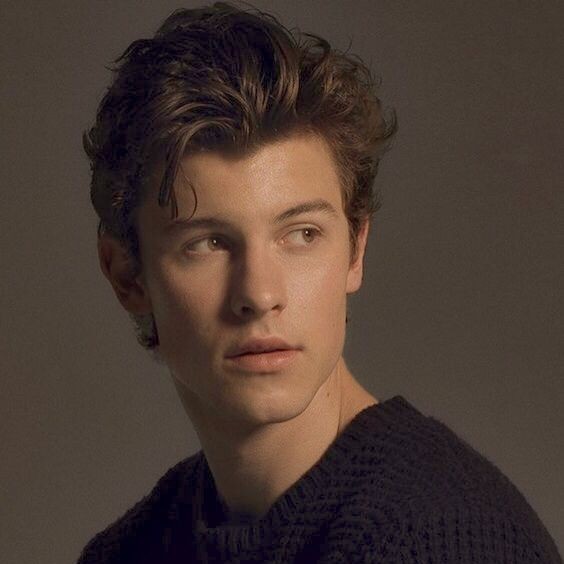 Shawn Mendes